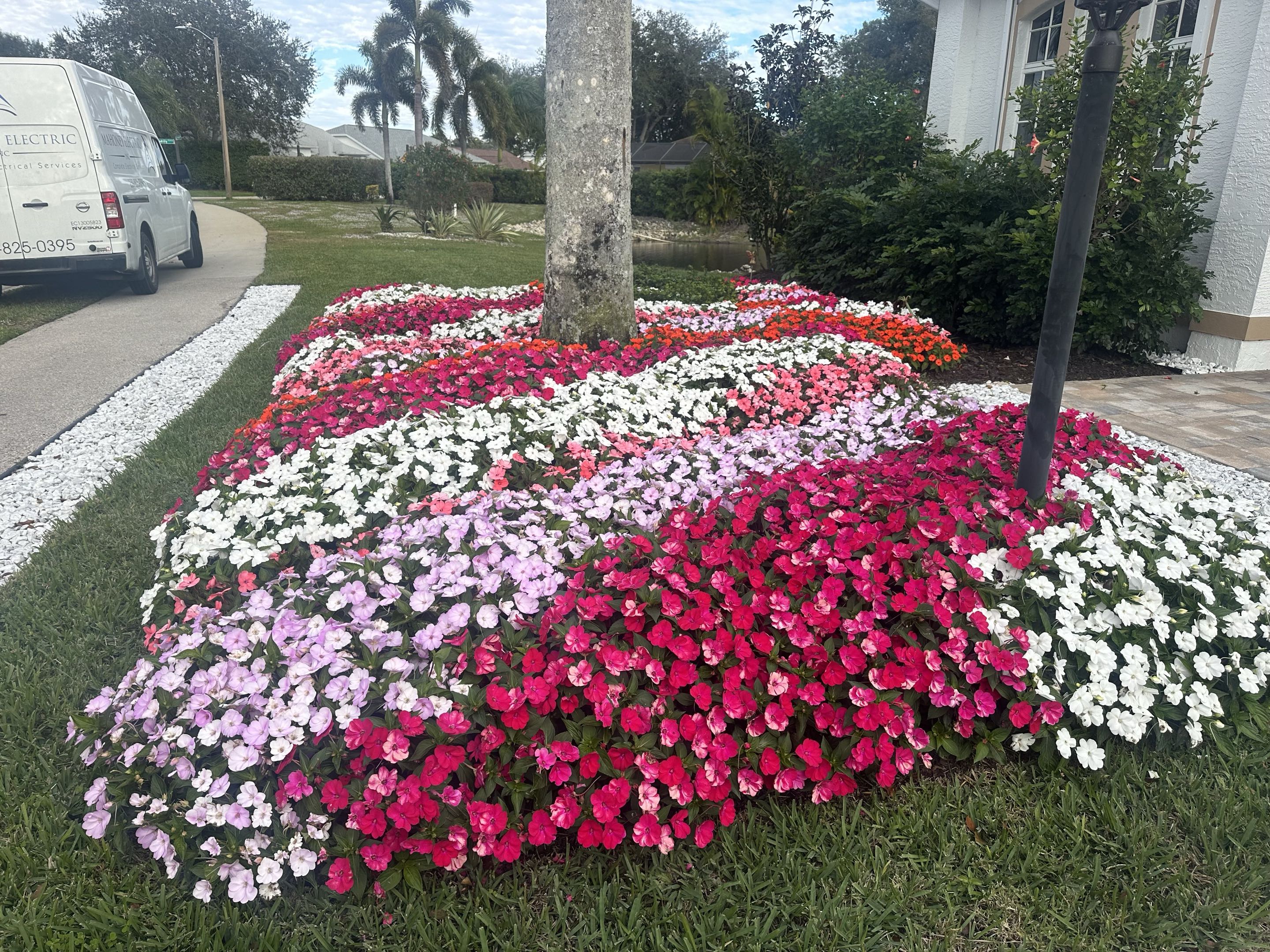 Vibrant Flower Bed Design