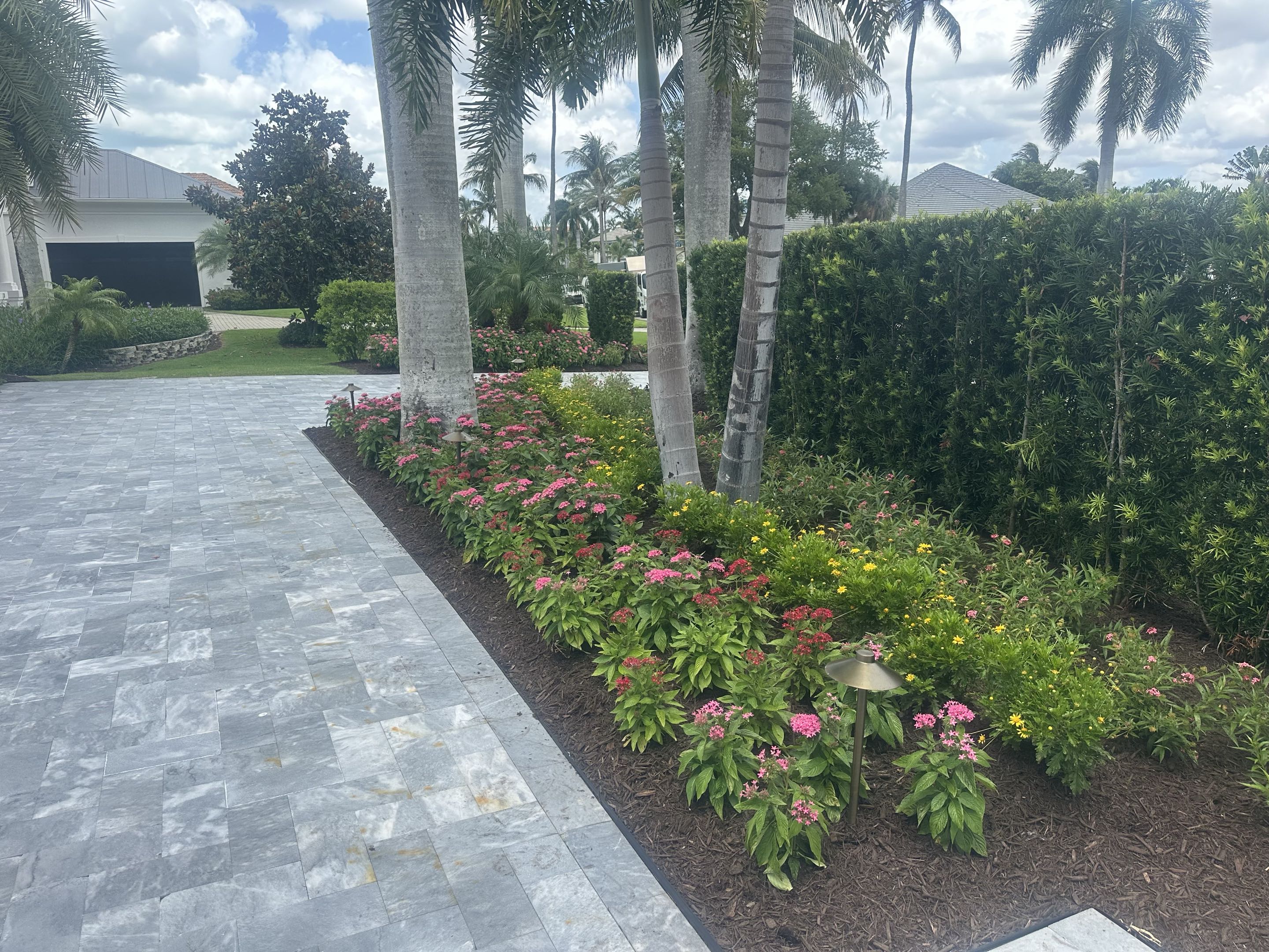 Modern Driveway & Entry